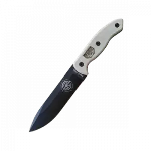 ESEE-CM6
