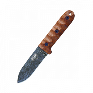 ESEE-PR4